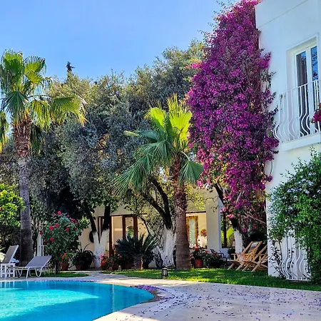 Apart-hotel Meis Bitez