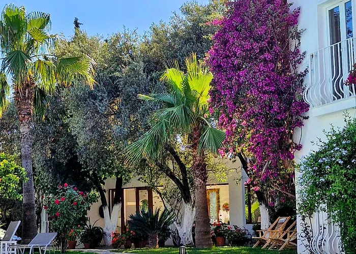 Hotel de apartamente Meis Bitez