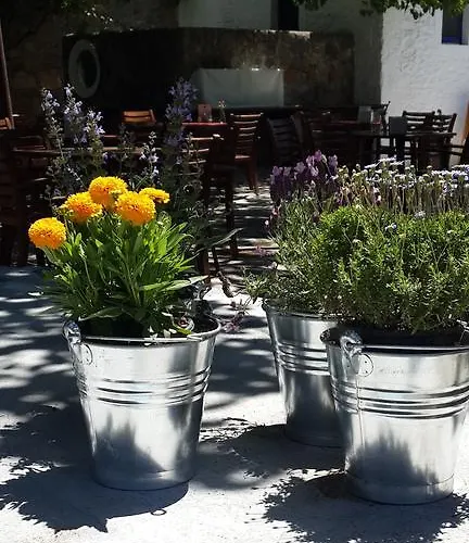 Meis Lägenhetshotell Bitez